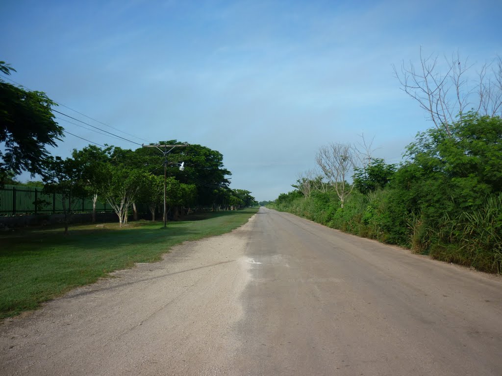 Antigua Carretera Mérida – Motul by Harry Alberto Moreno Torres