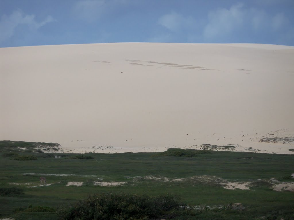 Imponente vision........Jericoacoara by gaucho.pancho