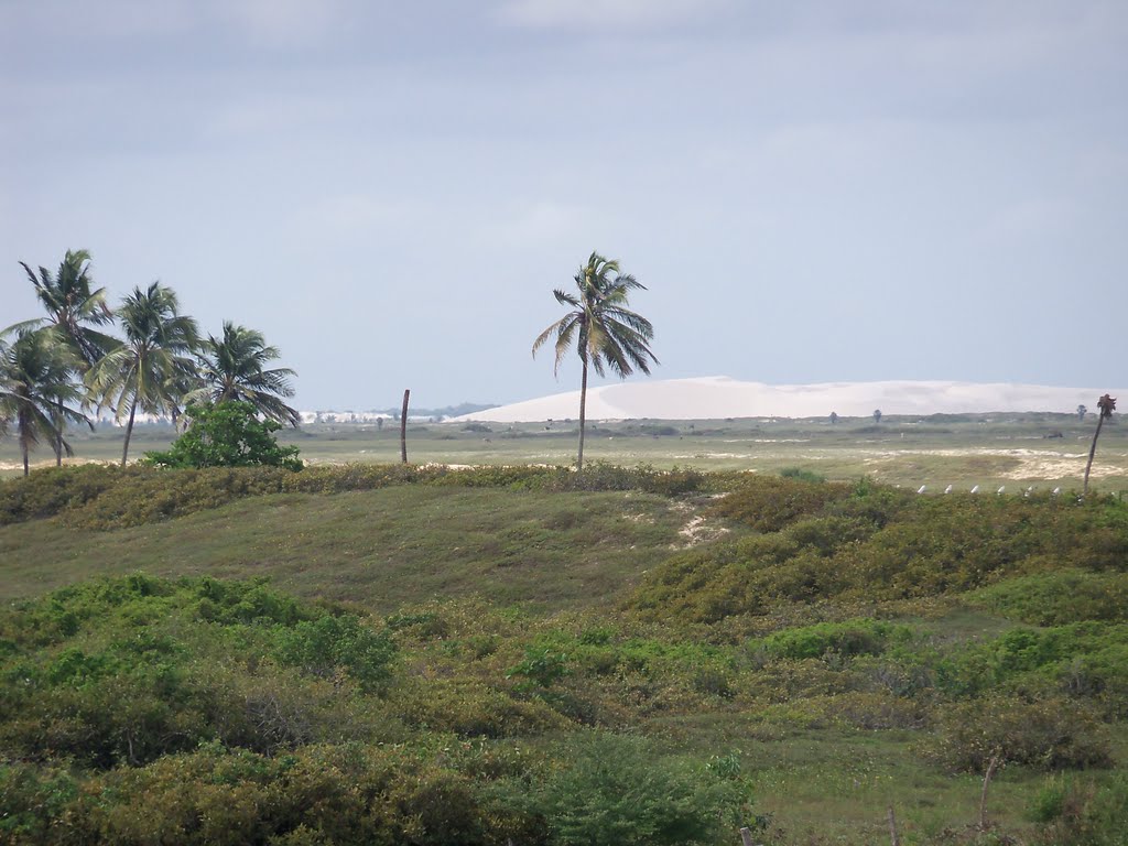 Exuberante naturaleza.......Jericoacoara by gaucho.pancho