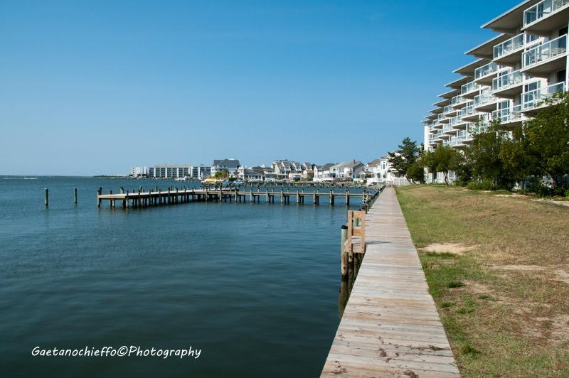 Bay by Gaetano Chieffo