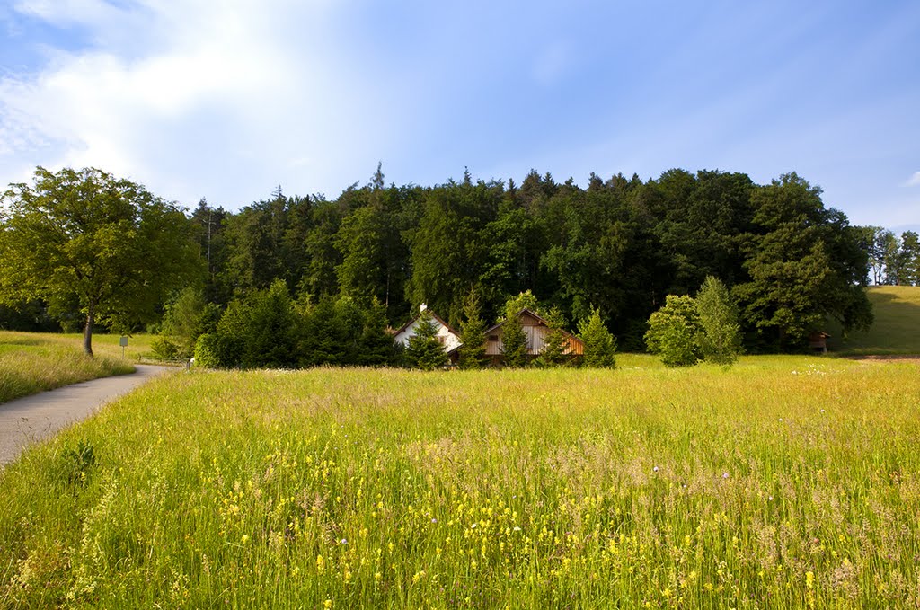 Lattenbuck_Nuerensdorf by MaCello