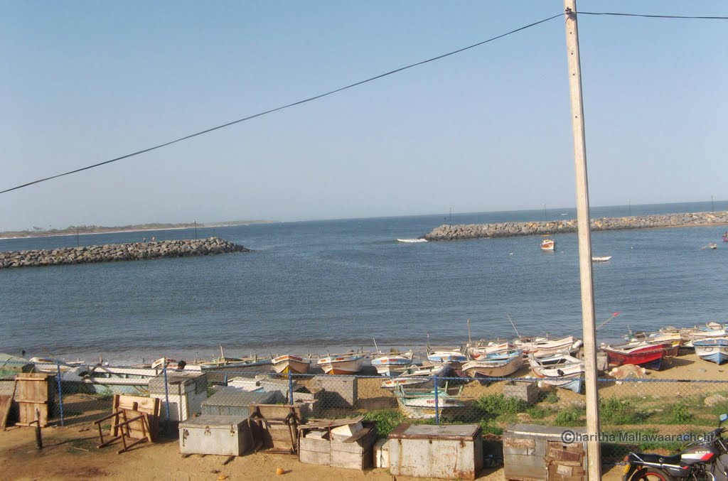 Hambantota Fishing Harbor by Charith Mallawaarachchi