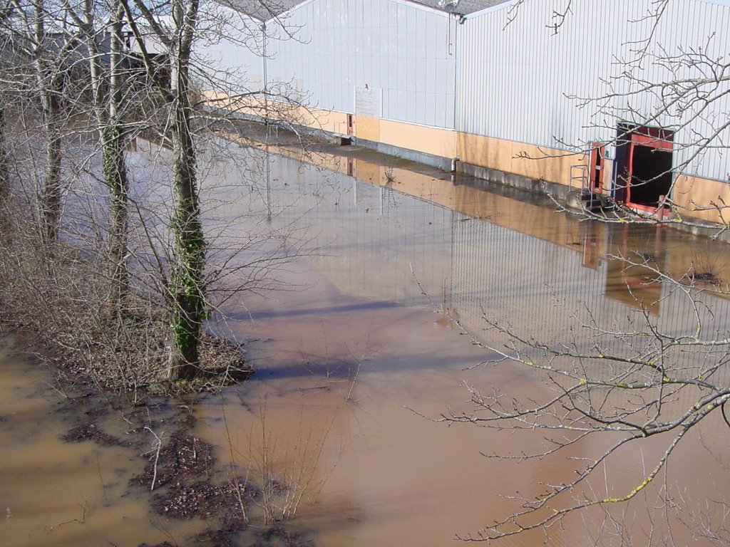 Flooding in Norton Fitzwarren by cjhaig