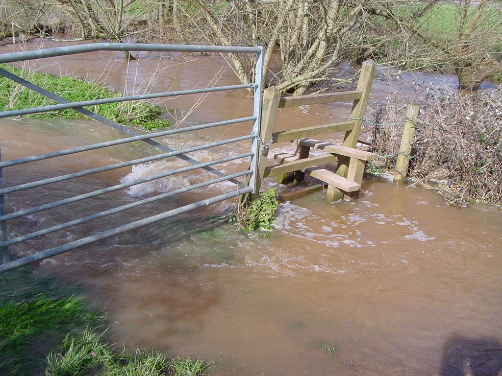 Flooding in Norton Fitzwarren by cjhaig