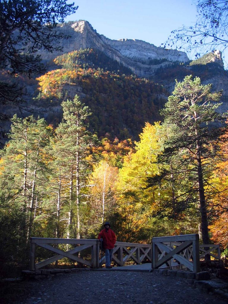 IMG_9159_otoño valle de Ordesa_sendero Cola de Caballo by francisco senderos