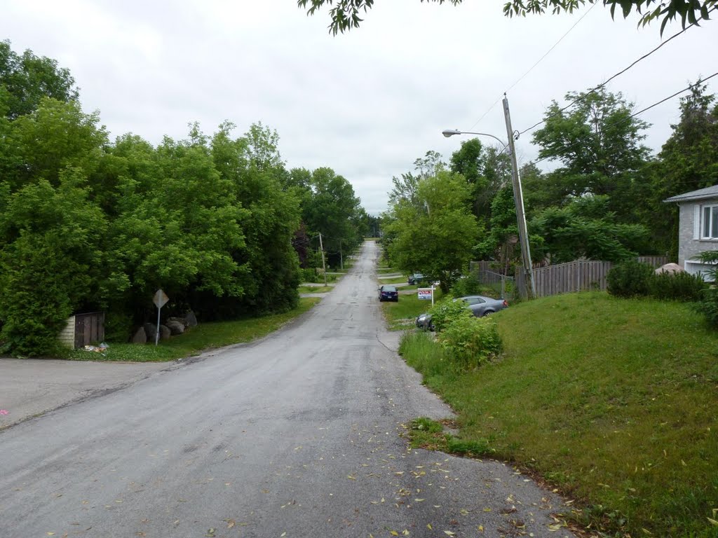 Jacksons Point Ave -- Facing south by omega8