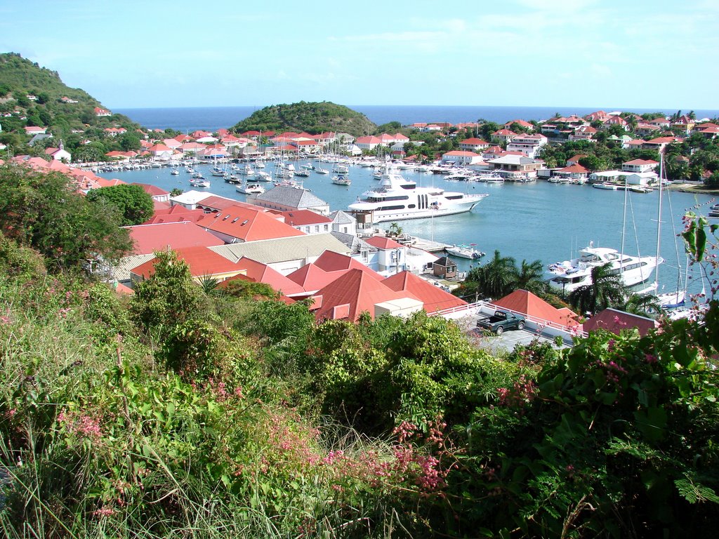 Gustavia Harbour by gabortoth