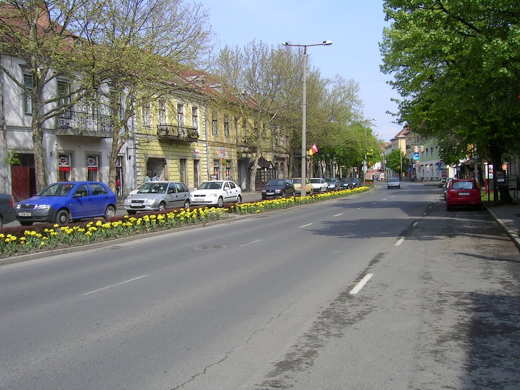 Sátoraljaújhely - Fö utca by Falusi Zoltán