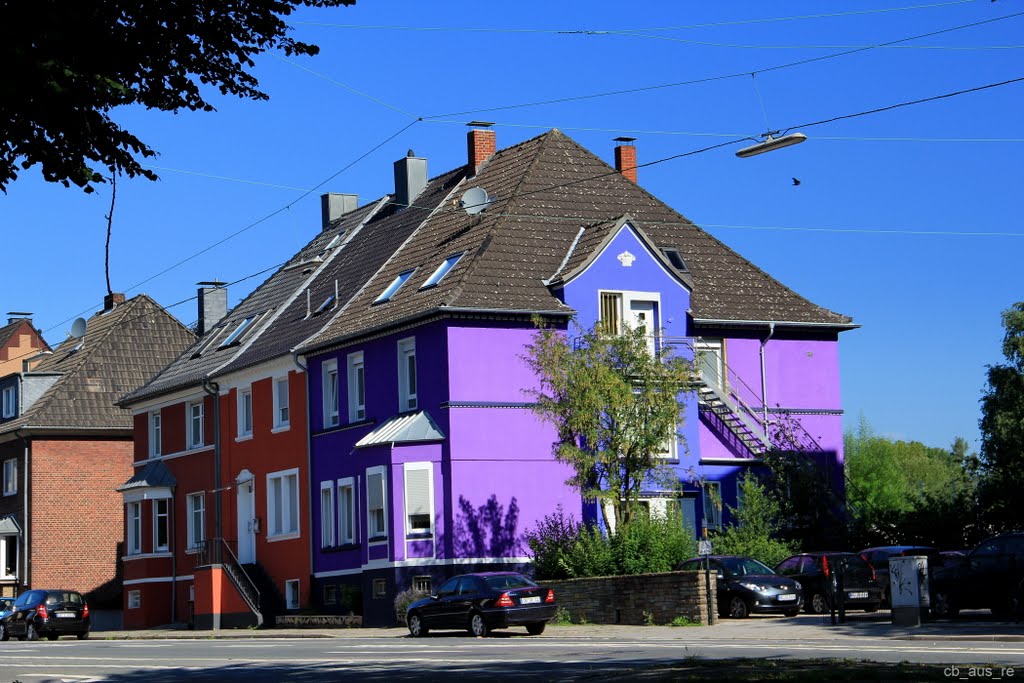 Painted Ladies :) Recklinghausen by cb_aus_re