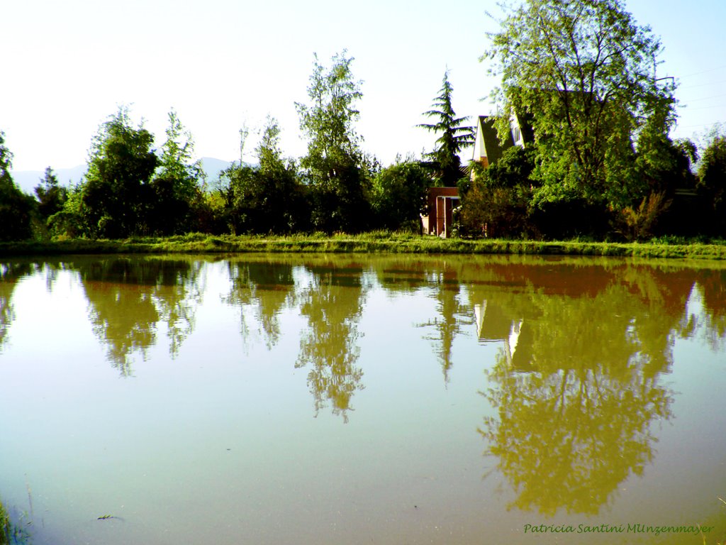 Reflejos en la laguna by Patricia Santini