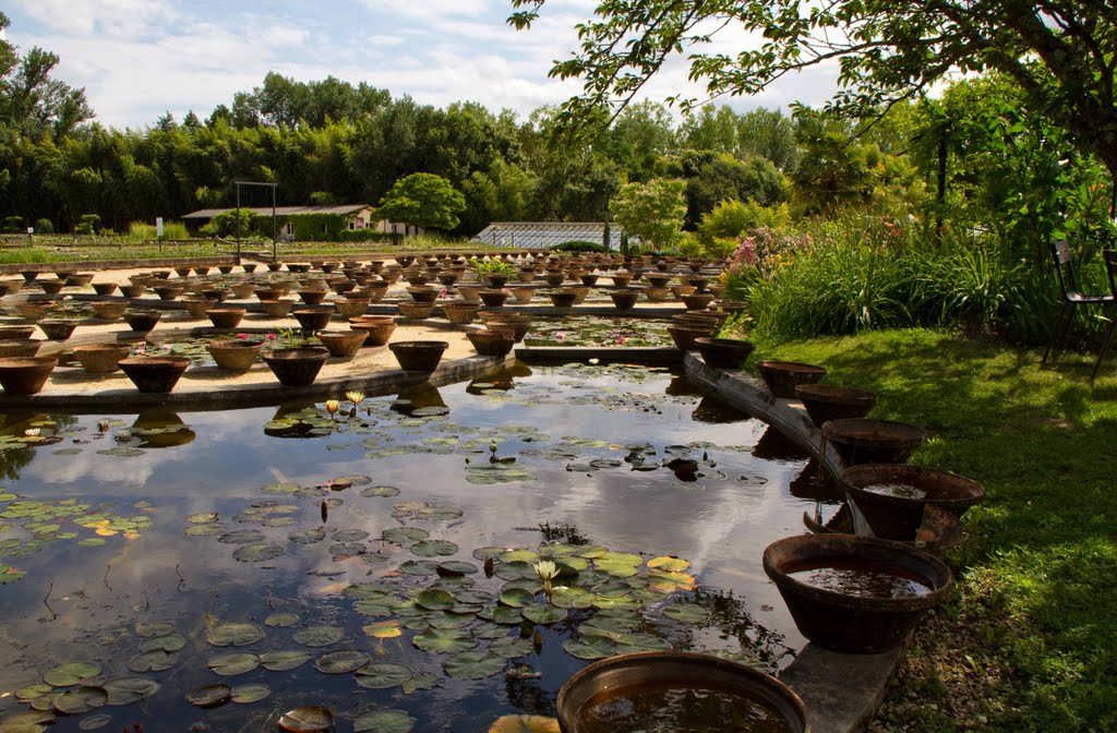 Jardin des nénuphars : pots en terre cuite by Elymalijo