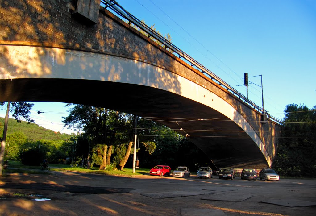 Brno-Obřany - ul. Obřanská - Železniční viadukt by Bridgy Guida