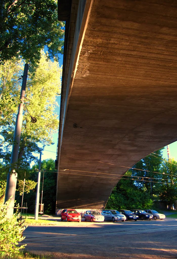 Brno-Obřany - ul. Obřanská - Železniční viadukt by Bridgy Guida