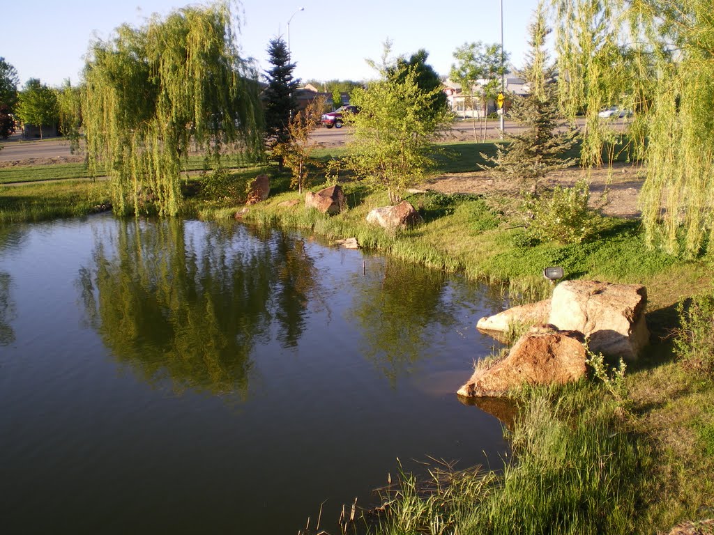 Waterfall and pond at Eagle Road and State Street by wandering wilhelmina