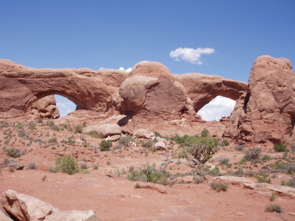 Window Arches by afraser30