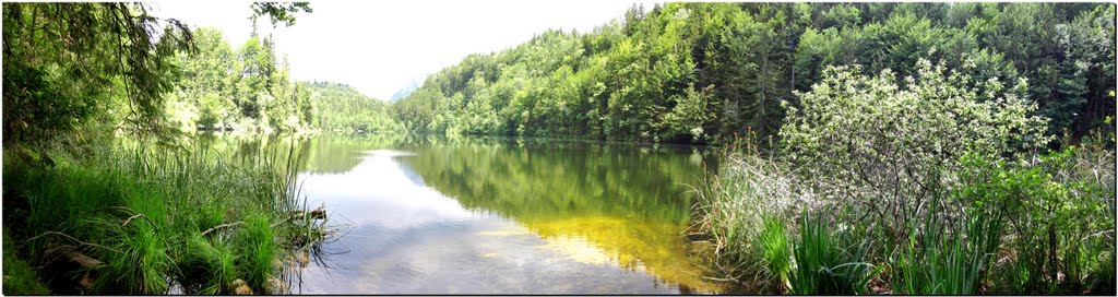 Längsee by ➨ sebastian ✌ 📷