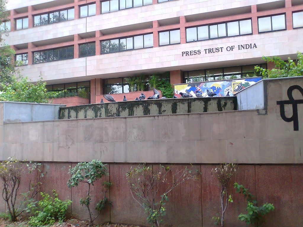 Pegions beating the heat at PTI Building by suchitaxaxa