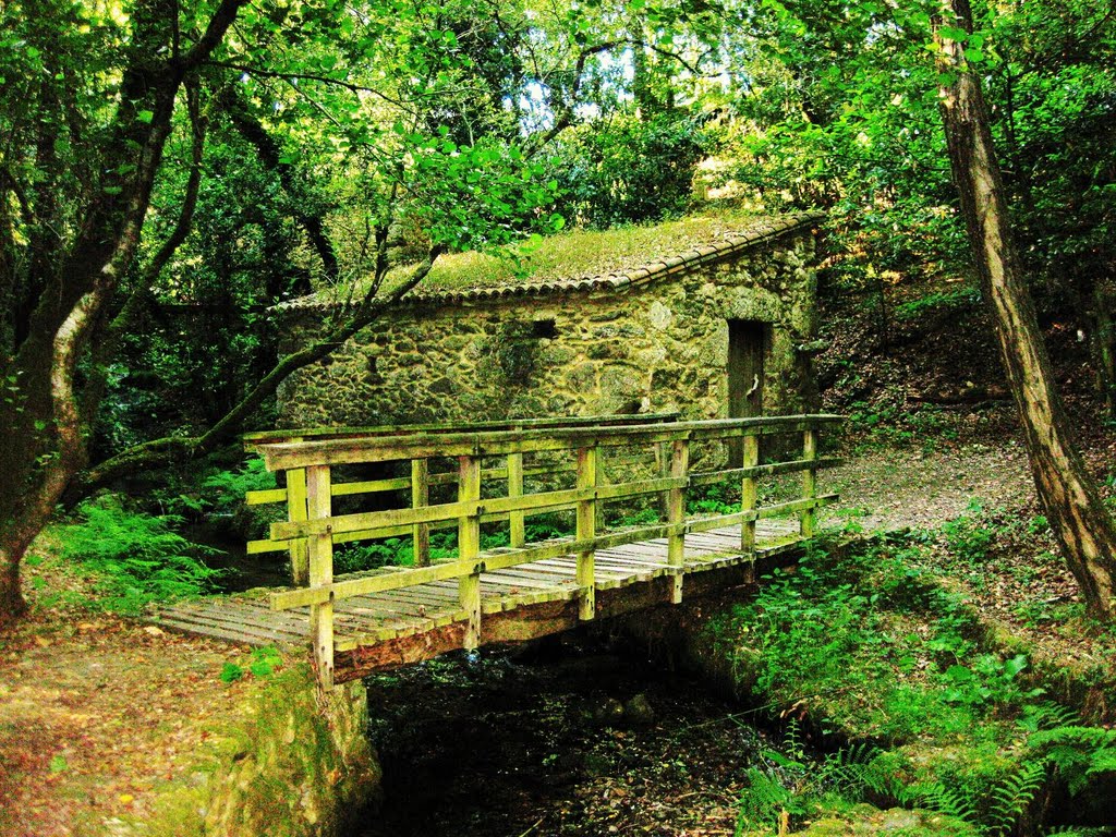 A ponte e o muíño- Ruta dos Muíños - Vedra by fotocolocador