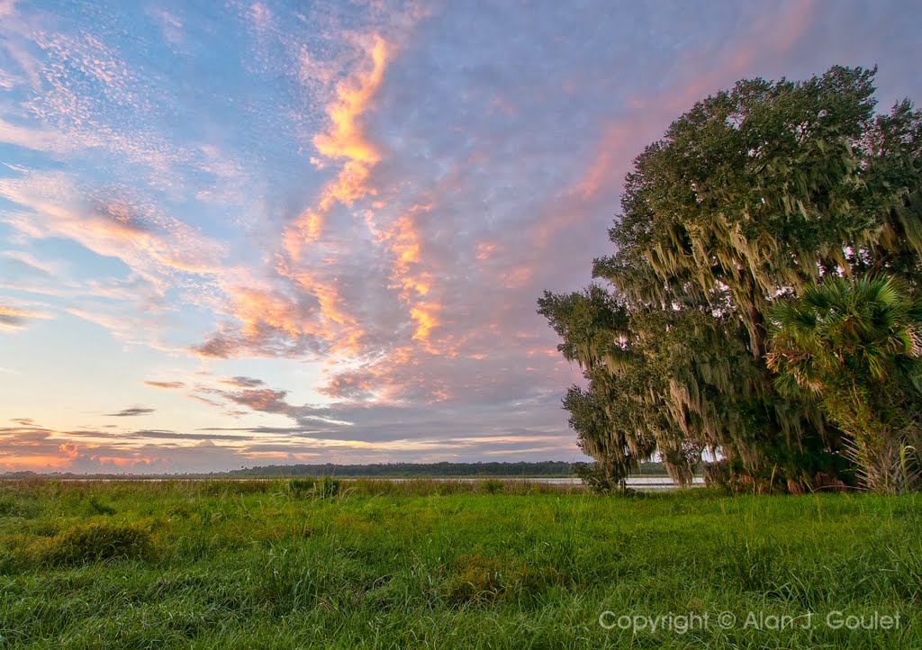 Mullet Lake Morning by Alan Goulet