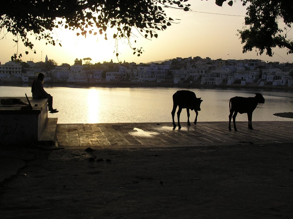 Pushkar Lake by Elios Amati (tashimelampo)