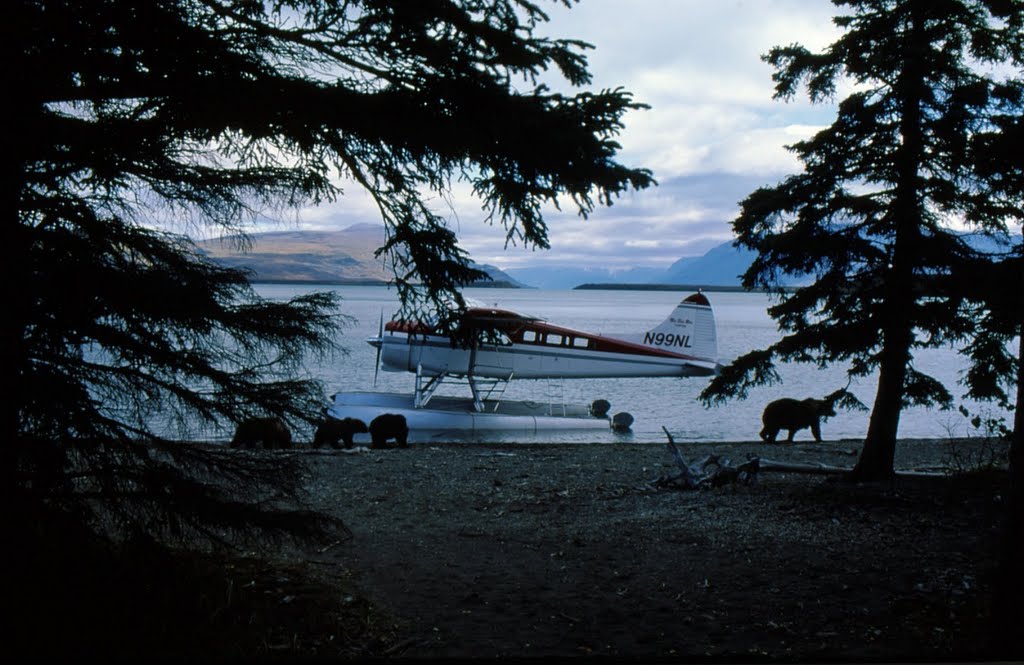 BROOKS CAMP Naknek Lake by JOSEP M LLONC SABATER