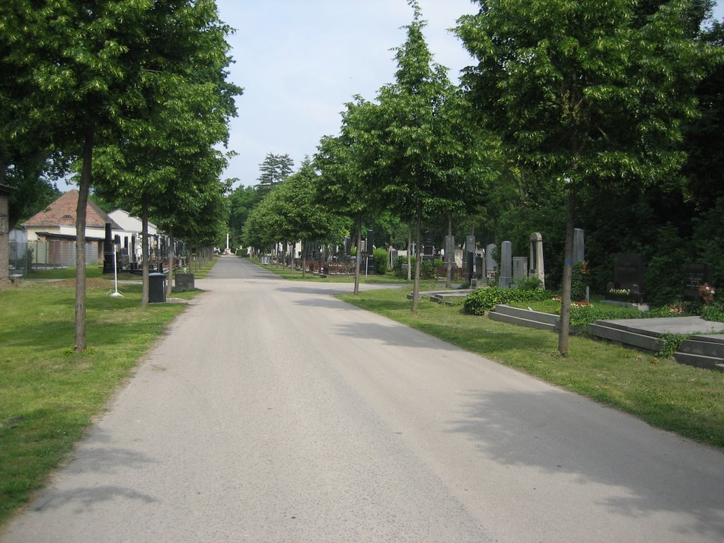 Wenen - Zentralfriedhof - The Third Man - Anna's last walk by rob bakker