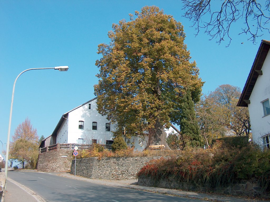 Treffelstein, Alte Linde by Waarnemer