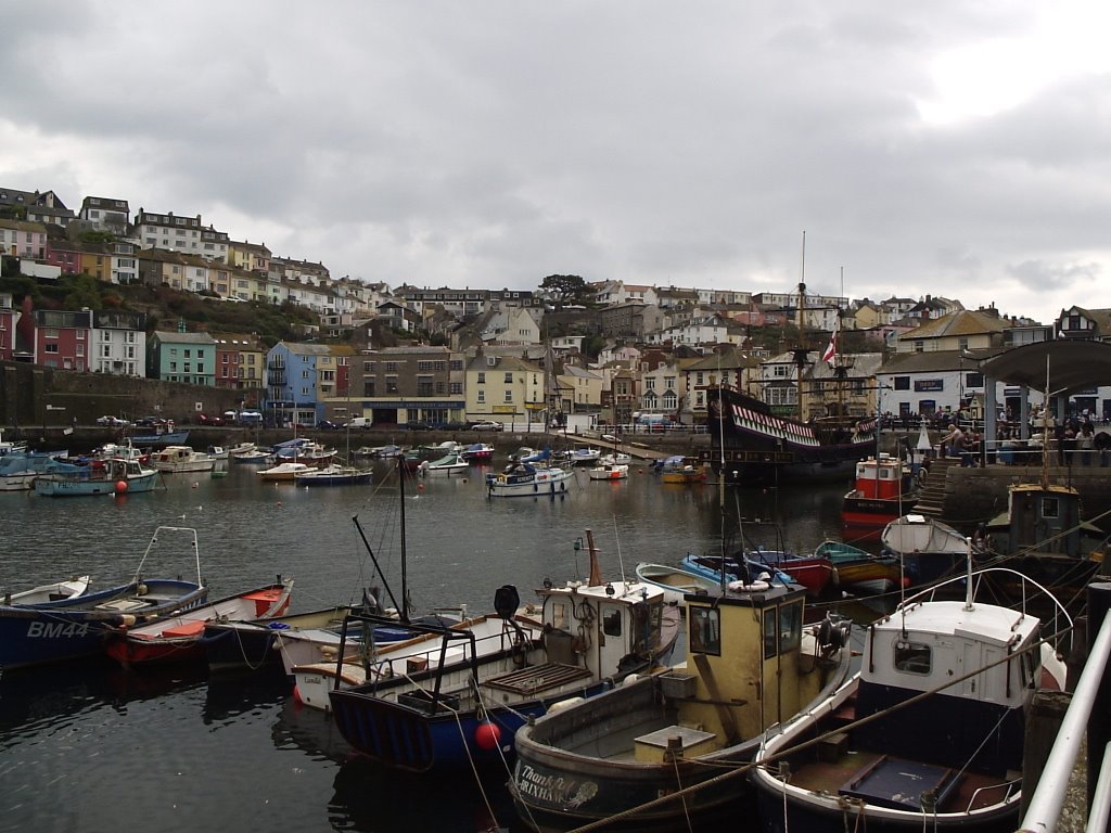 Brixham Habour by Simon williams