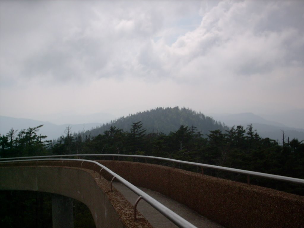 Another view of Clingmans Dome. Tenn. by vnvetlester