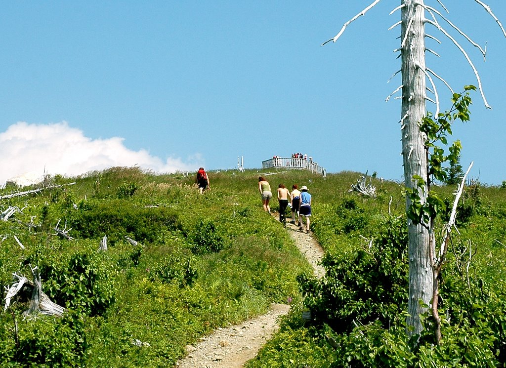 Parc de la Gaspésie - Mont Ernest-Laforce by RomainP