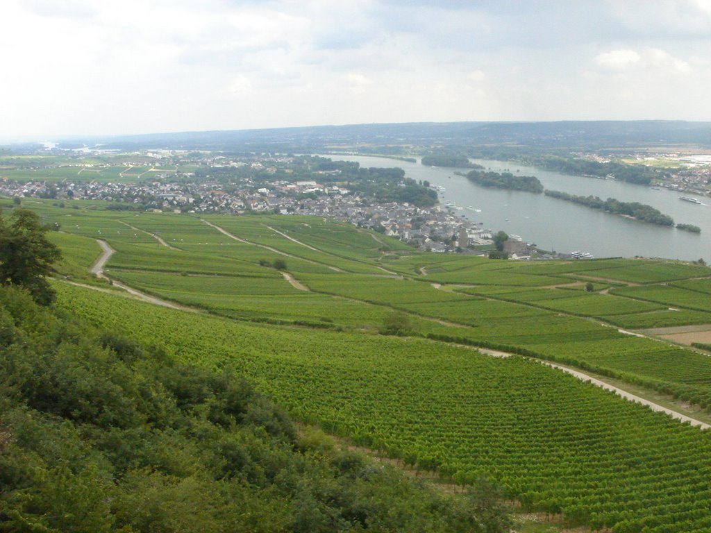 Rüdesheim am Rhein, Germany by Zike