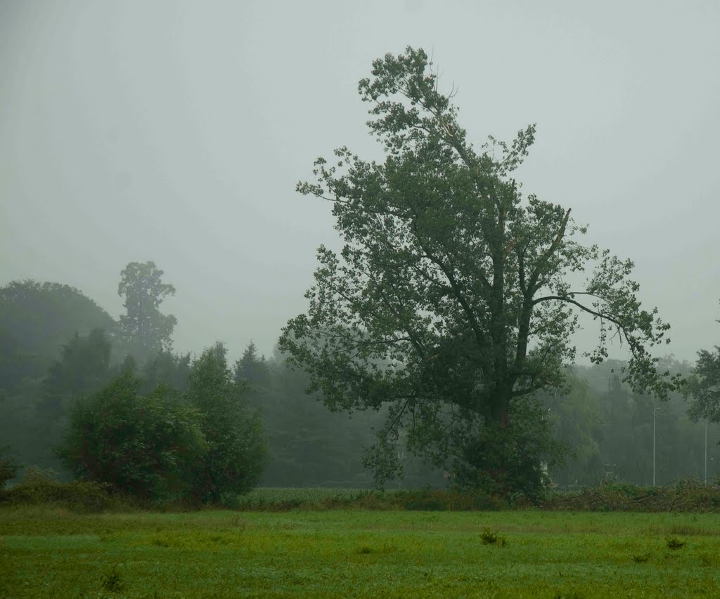 Vughtse Hoeven, Vught, Blikseminslag, 28 Juni 2011 by Scott Nova