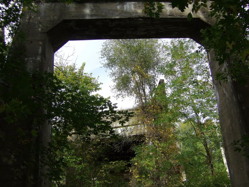 "Dominos",I&M Canal State Trail between Utica and Ottawa,IL by GregorP