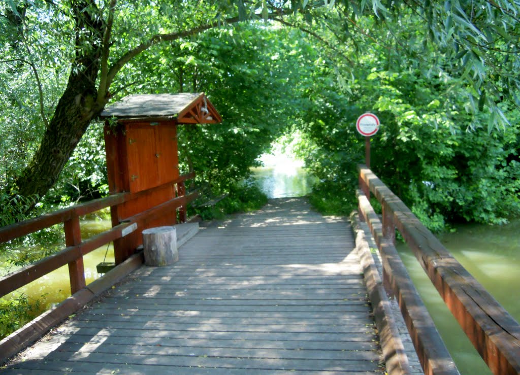 MARCHEGG , Leopold Brenner - Brücke . ( Juni 2010 ) . by Don.Ebro