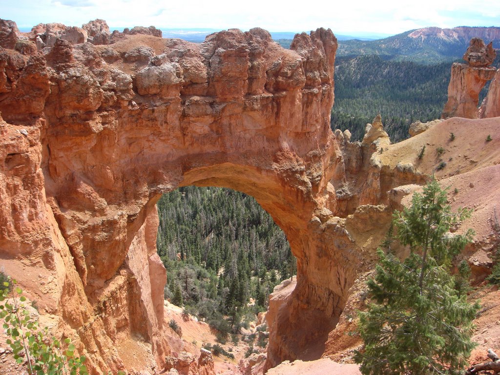 Bryce Canyon hole-in-the-rock by DeEtte Fisher