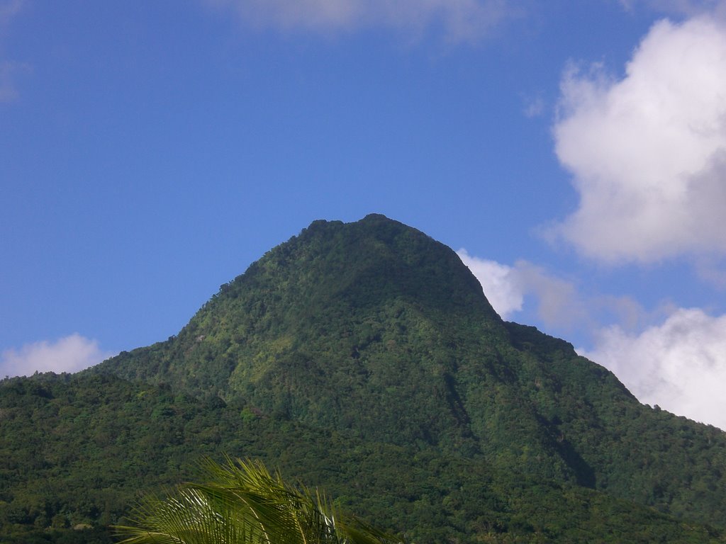 Morne Anglais by Geoffrie Kramer