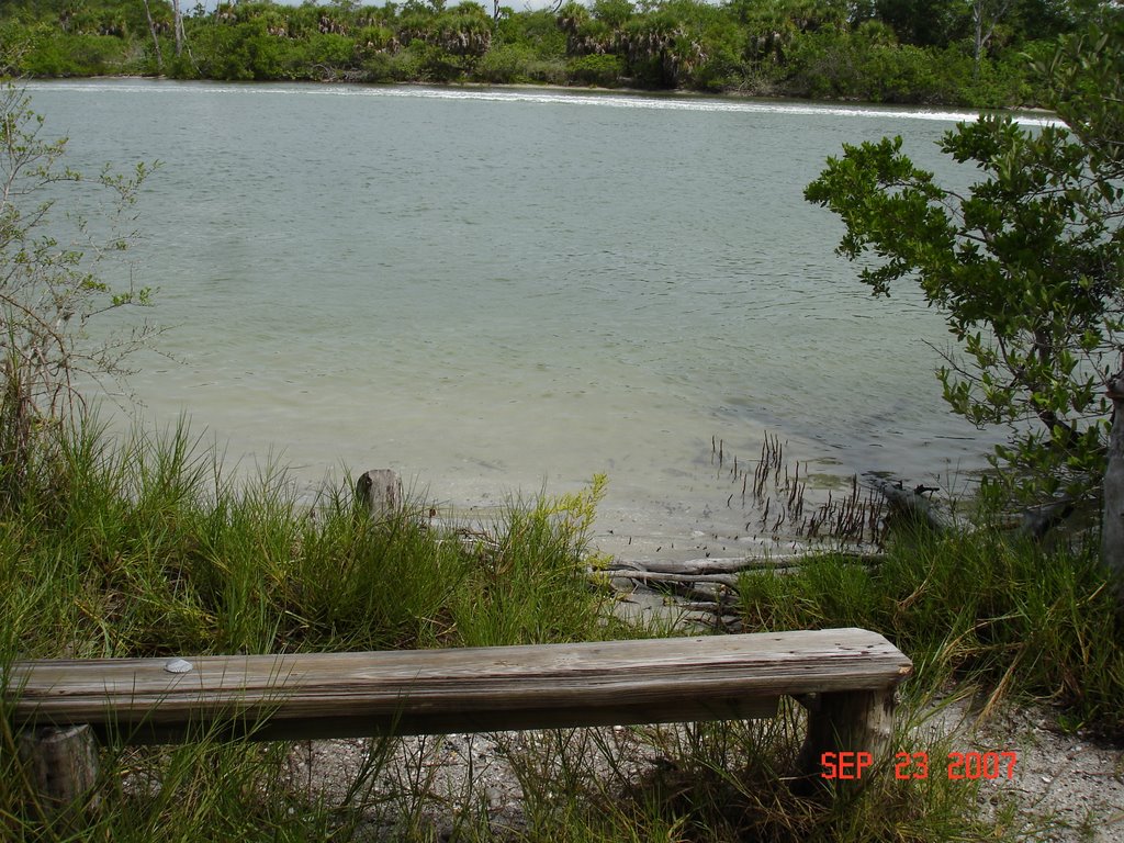 STUMP PASS STATE PARK - A BENCH by cjtill