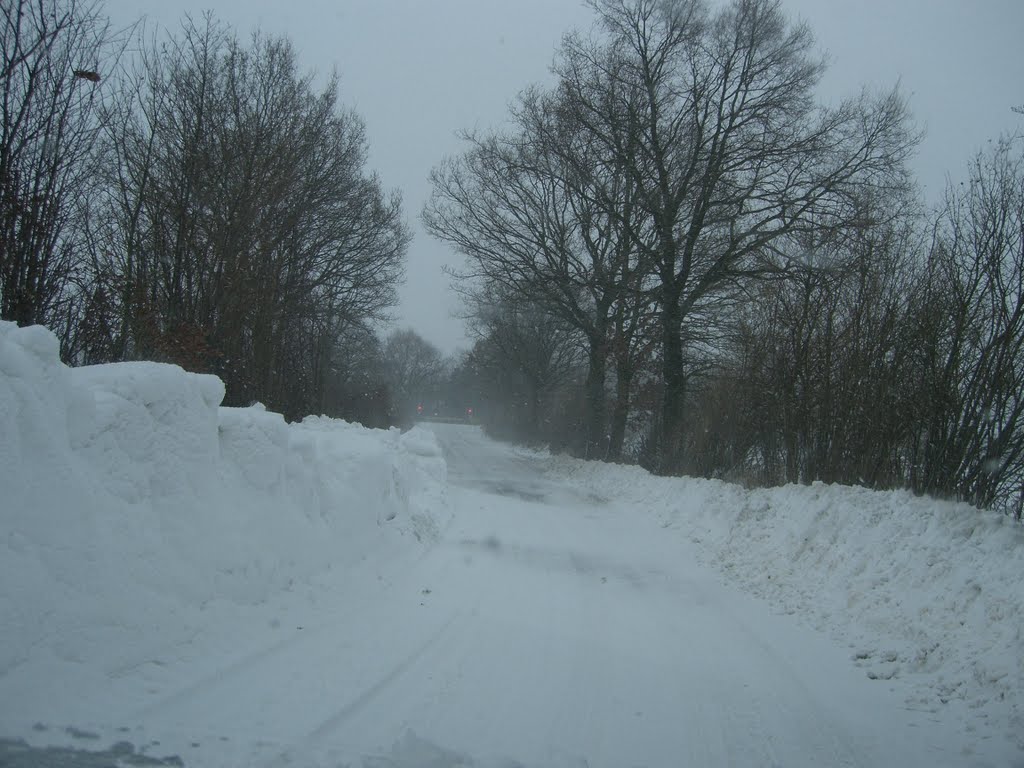 Straße von Fischbek nach Tremsbüttel im Schneewinter 2009/10 by mengyingbo