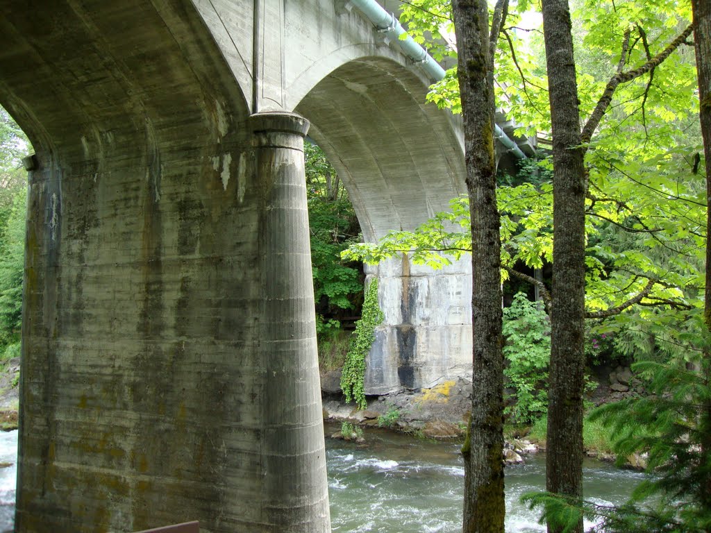 Tumwater Falls - Boston Street Bridge by A. Williams