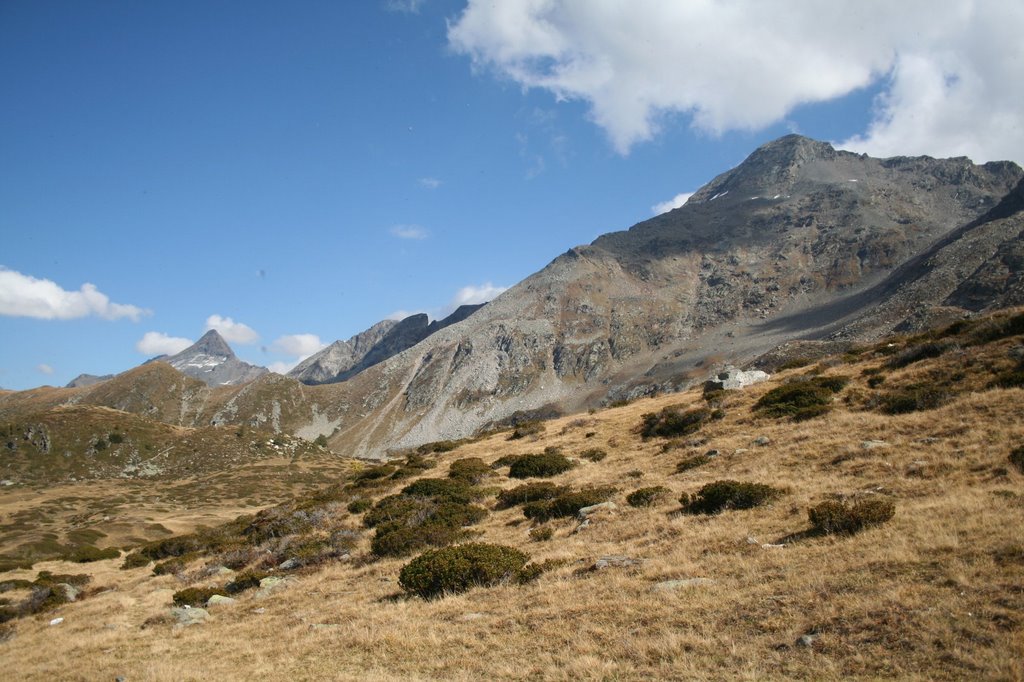 Wasenhorn - Bortelhorn by Eddy Agten