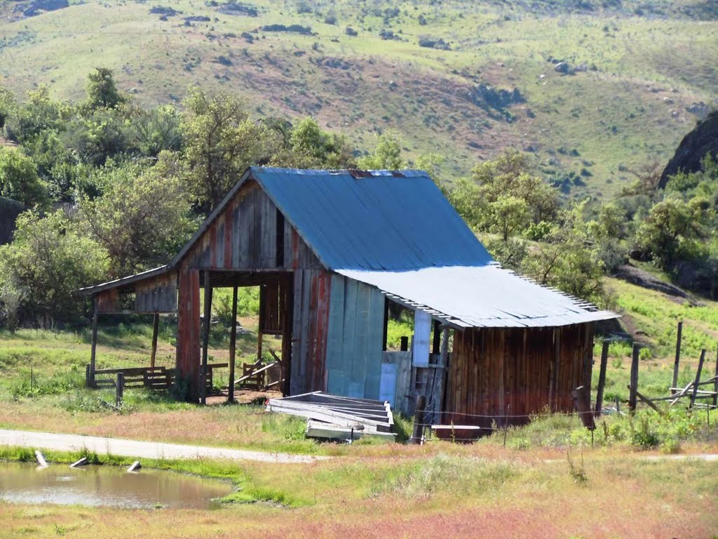 ...not sure if the Truck or this Barn would be easier to fix up! by KARL F