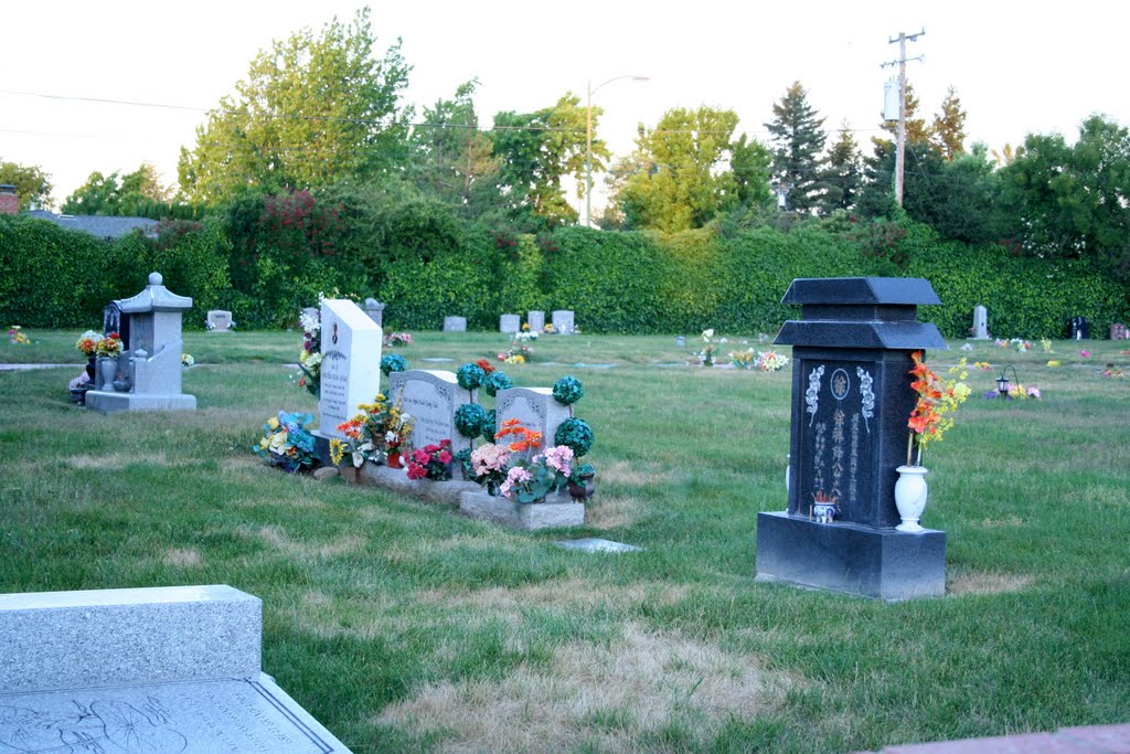 Los Gatos Memorial Park, 7/1/11 by Edward Rooks