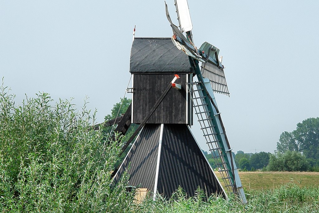 Spiderhead mill by Fred van Daalen