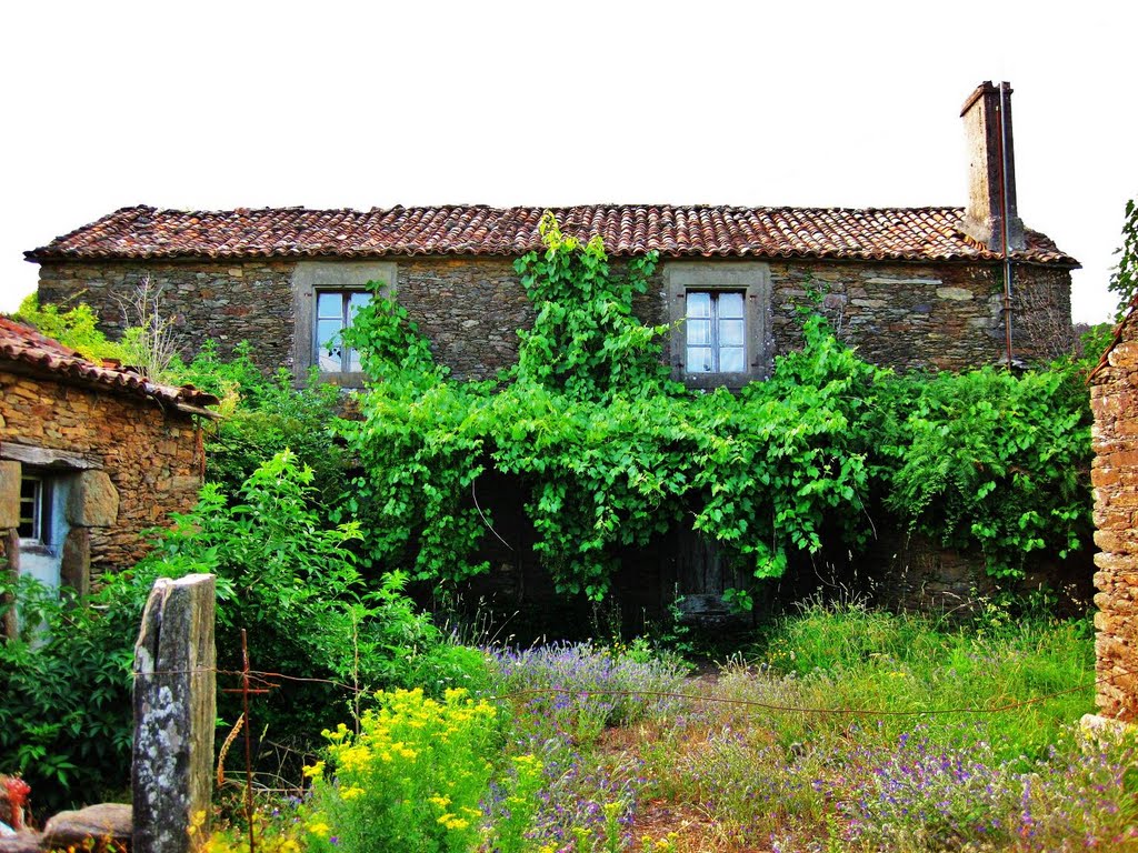 Casa en A Rúa - O Pino by fotocolocador