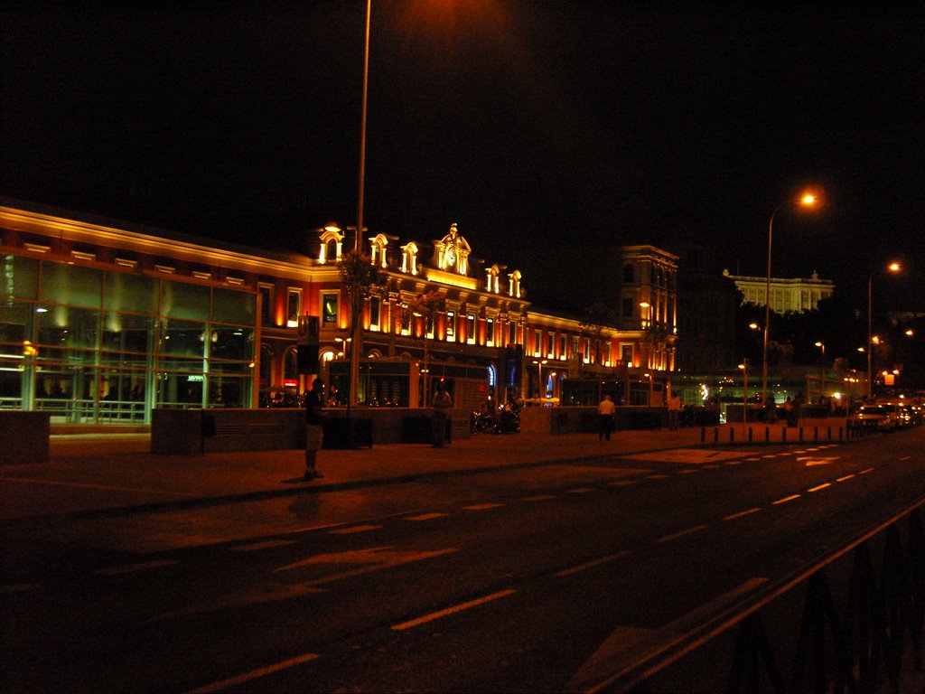 Estacion del Norte at night by theboshow