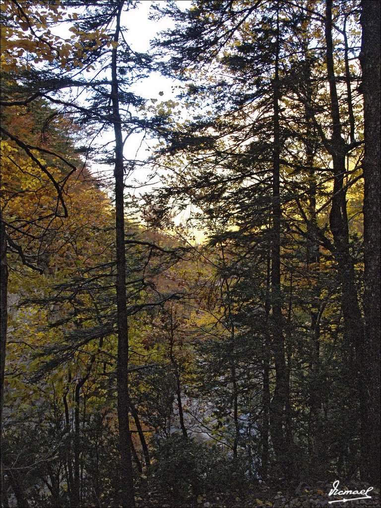 71022-059 VALLE DE ORDESA by Víctor Manuel Mamblo…