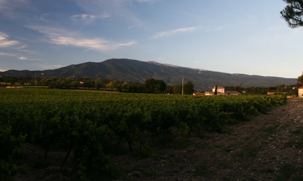 Jochentour - Der Mont Ventoux aus Saint Pierre gesehen by Jochentour.de