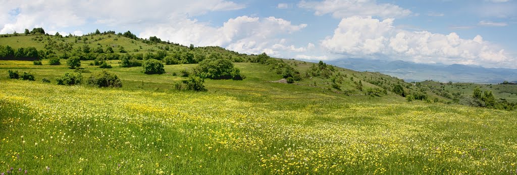 Springtime near Posof by Klaus Robl