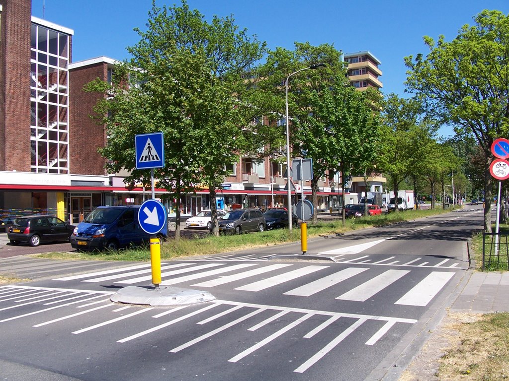 Van Foreestweg Delft by StevenL