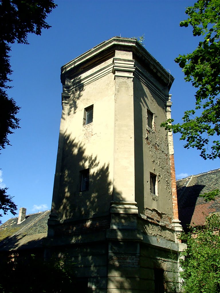 Wasserturm Schlosspark Mosigkau (Dessau) by Martin Beitz